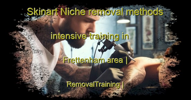 Skinart Niche removal methods intensive training in Frettenham area | RemovalTraining | RemovalClasses | SkinartTraining-United Kingdom